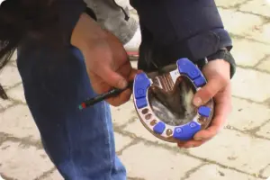 Eine Person haelt den Huf eines Pferdes und setzt einen bernsteinfarbenen Hufschutz mit blauen Einlagen an, Aufnahme auf gepflastertem Hof.
