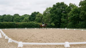 Eine Reiterin arbeitet ihr braunes Warmblut im versammelten Trab auf einem sandigen Dressurviereck mit weisser Umrandung vor hohen Baeumen.
